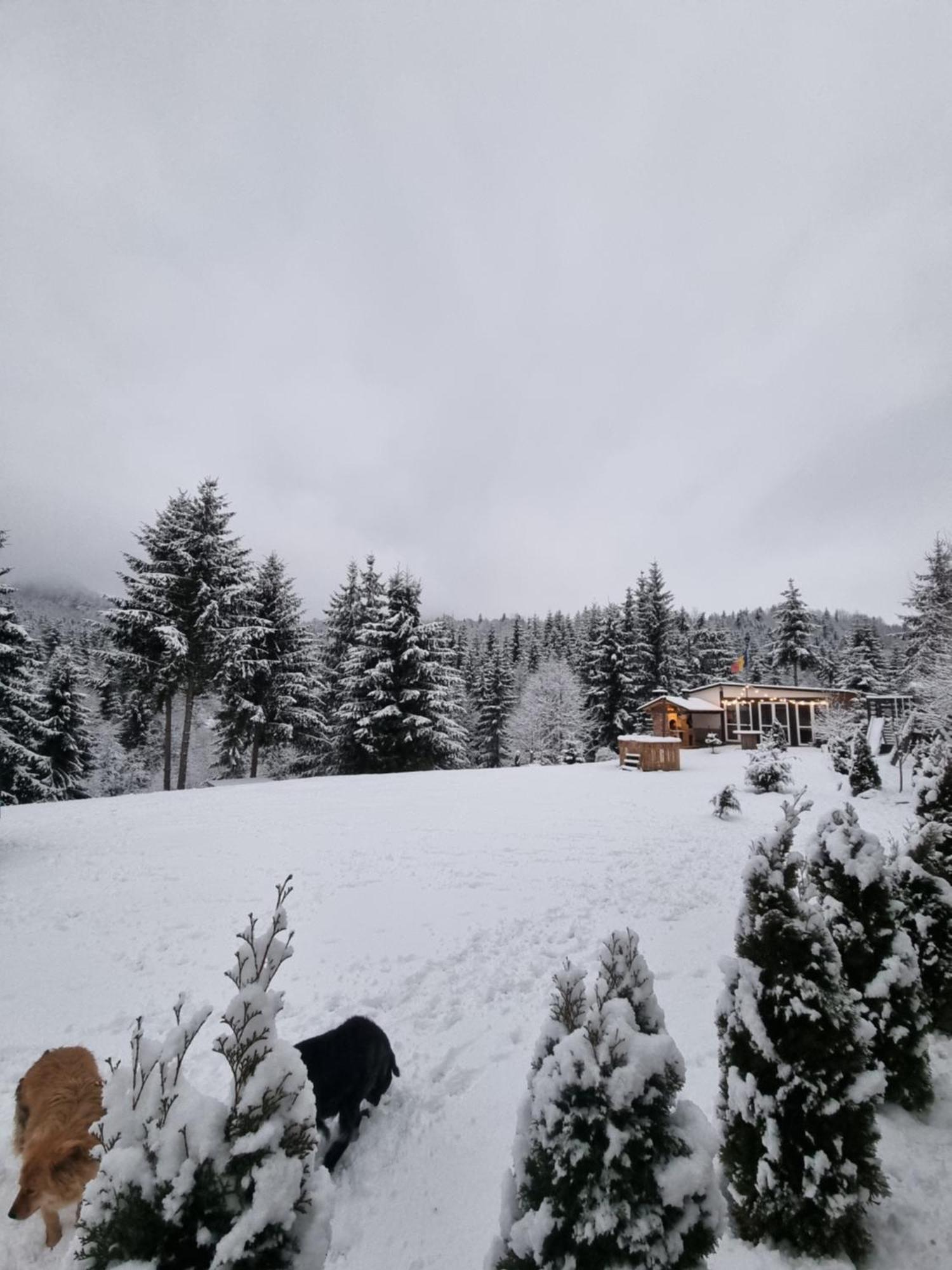 Cabana Casaru Colibiţa Екстериор снимка